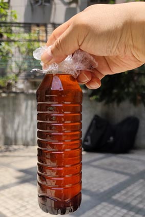 夏威夷果酸油
